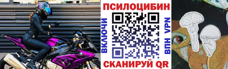 Галлюциногенные грибы Psilocybine cubensis  Ярославль 